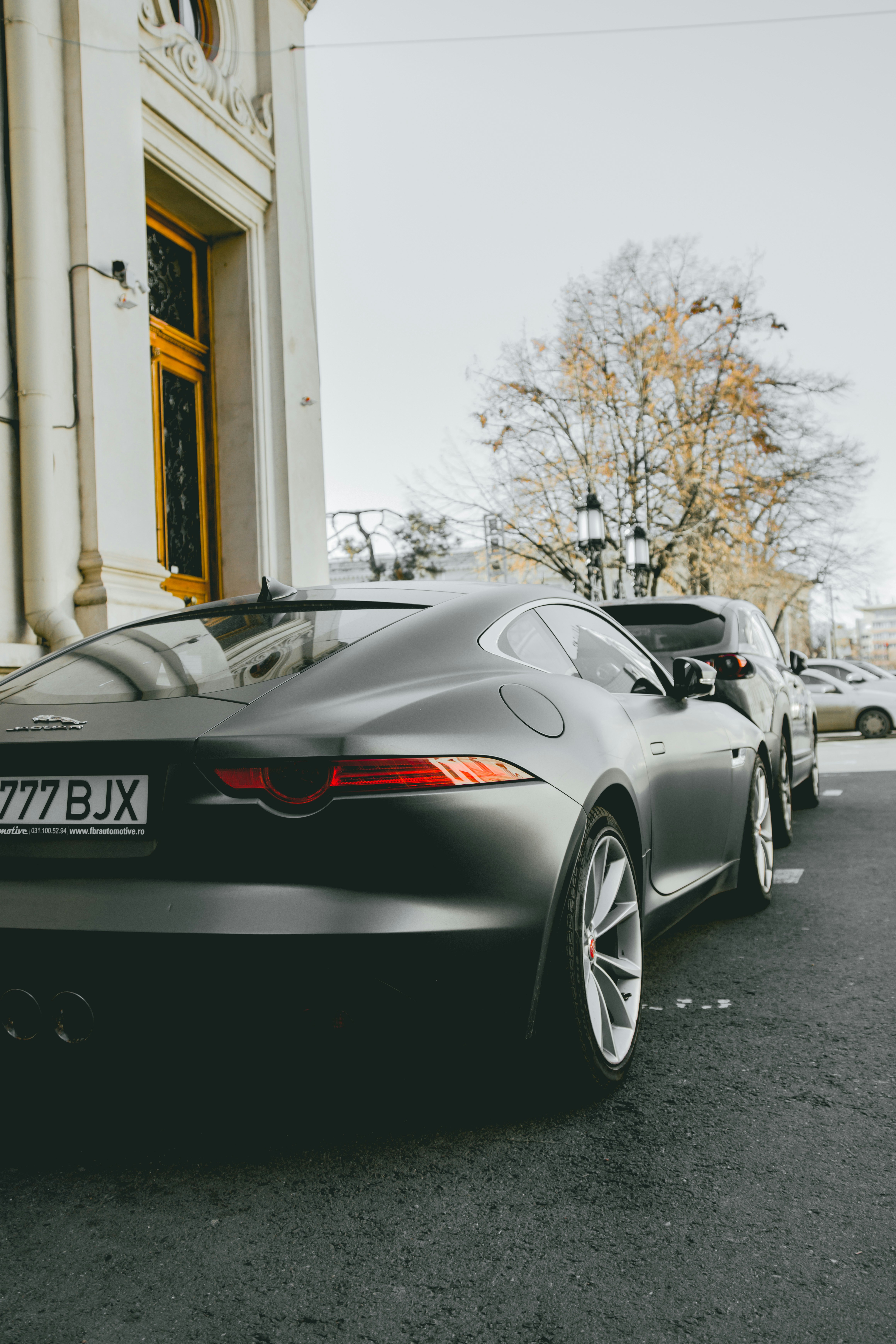 Photo by shoham_avisrur