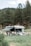 A motorhome is parked in a lush green campsite surrounded by tall pine trees. Two people are engaged in activities near the vehicle, one wearing a shirt and the other shirtless. The motorhome has an extended awning providing shade.