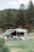 A motorhome is parked in a lush green campsite surrounded by tall pine trees. Two people are engaged in activities near the vehicle, one wearing a shirt and the other shirtless. The motorhome has an extended awning providing shade.