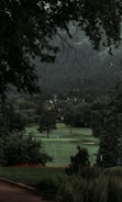 A serene landscape features a lush, green golf course surrounded by dense, mature trees. In the distance, there are small figures of people playing golf, and beyond them, a backdrop of forested hills creates a sense of depth. The image is framed by overhanging tree branches at the top, contributing to a peaceful, secluded atmosphere.