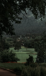 A serene landscape features a lush, green golf course surrounded by dense, mature trees. In the distance, there are small figures of people playing golf, and beyond them, a backdrop of forested hills creates a sense of depth. The image is framed by overhanging tree branches at the top, contributing to a peaceful, secluded atmosphere.