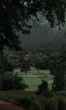 A serene landscape features a lush, green golf course surrounded by dense, mature trees. In the distance, there are small figures of people playing golf, and beyond them, a backdrop of forested hills creates a sense of depth. The image is framed by overhanging tree branches at the top, contributing to a peaceful, secluded atmosphere.