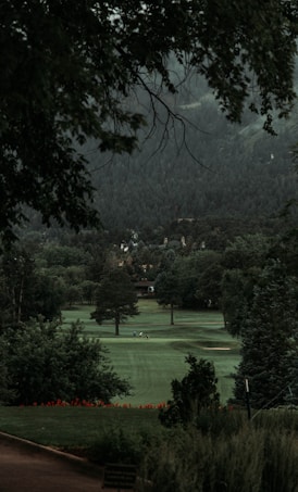 A serene landscape features a lush, green golf course surrounded by dense, mature trees. In the distance, there are small figures of people playing golf, and beyond them, a backdrop of forested hills creates a sense of depth. The image is framed by overhanging tree branches at the top, contributing to a peaceful, secluded atmosphere.