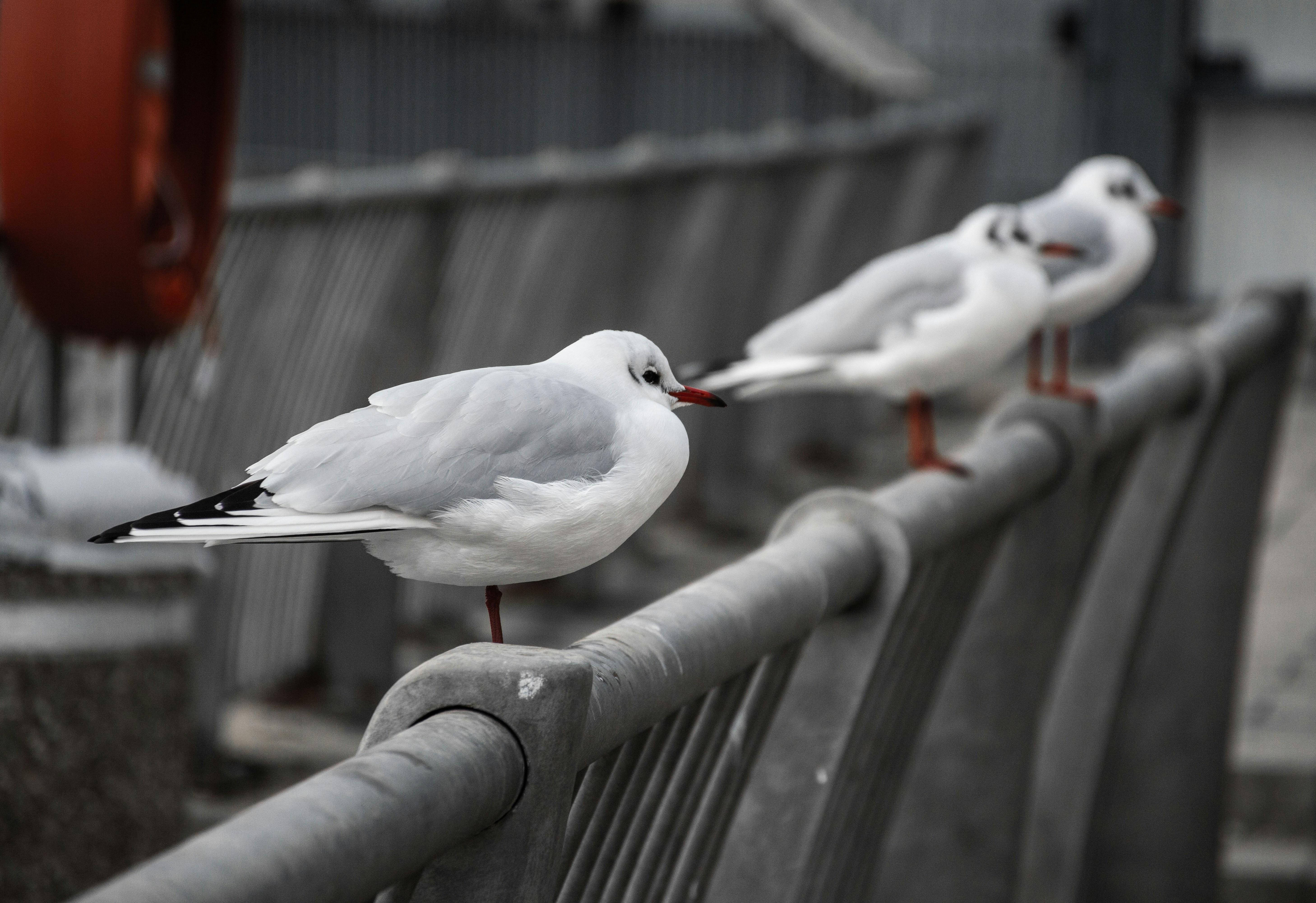 Portsmouth cityscape