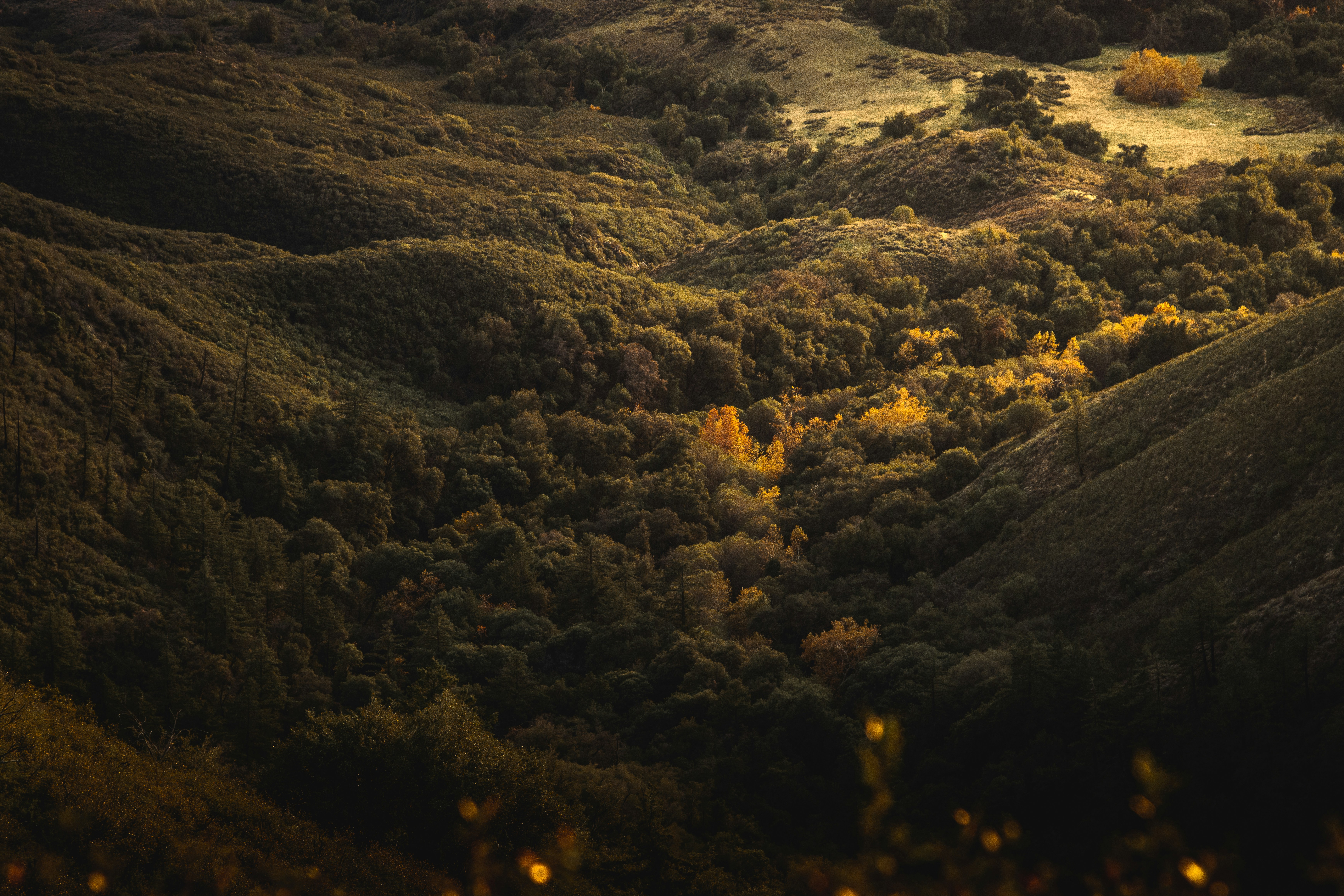 Photo by parkerdesignsss