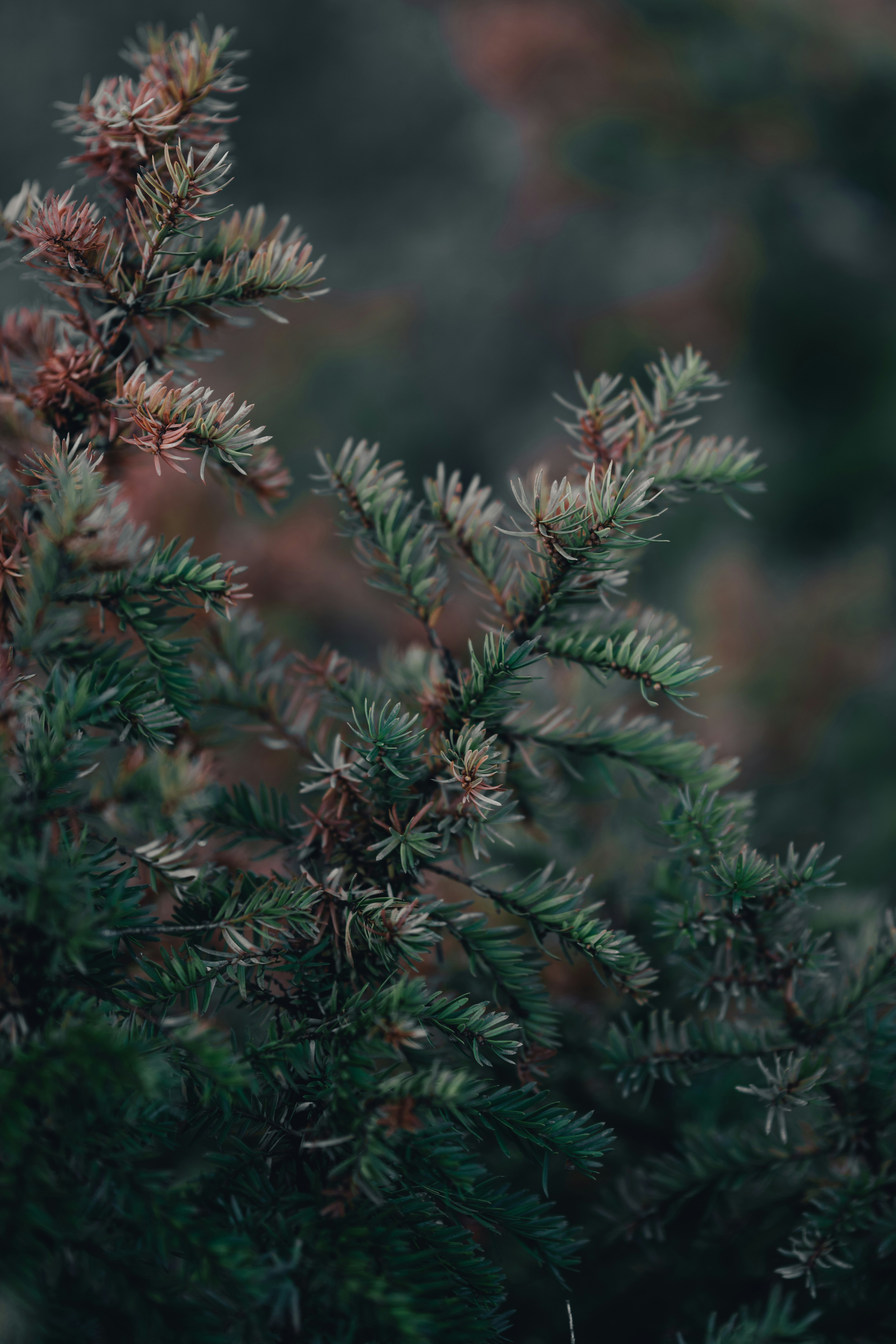 Photo by colemangloverphotography