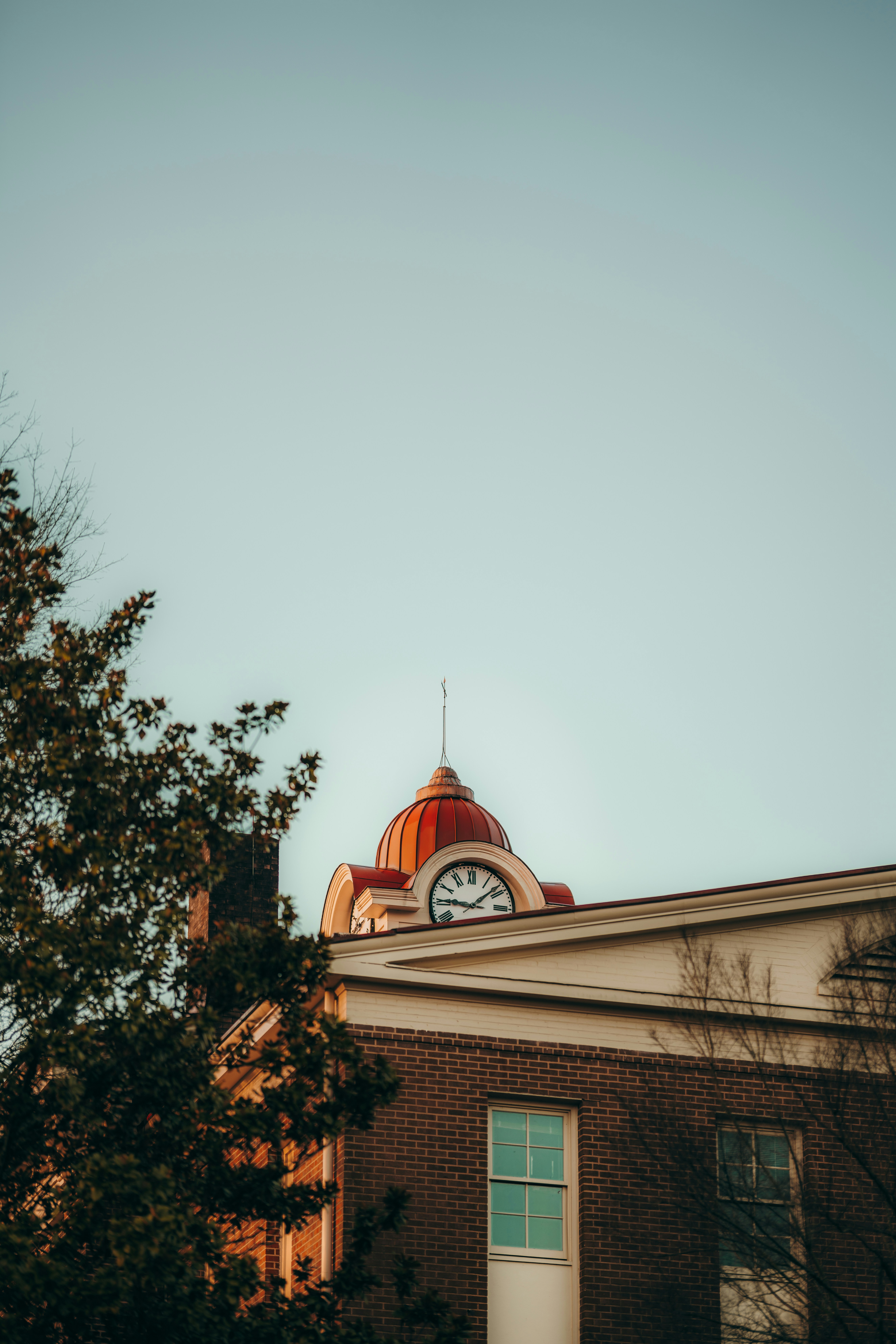 Photo by colemangloverphotography