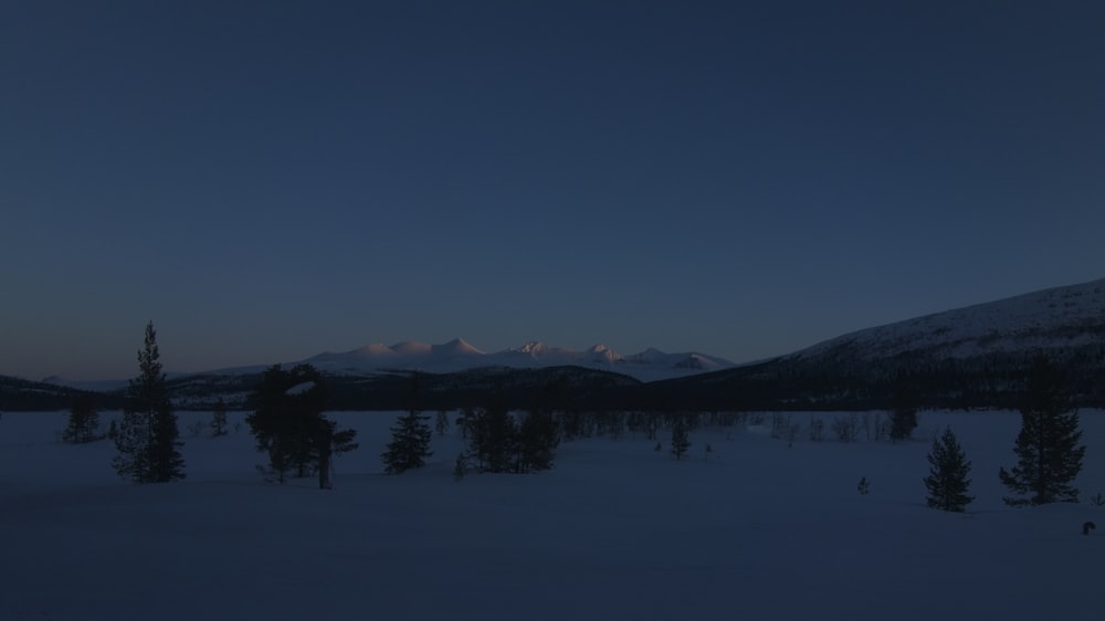 a snow covered field with trees and mountains in the background