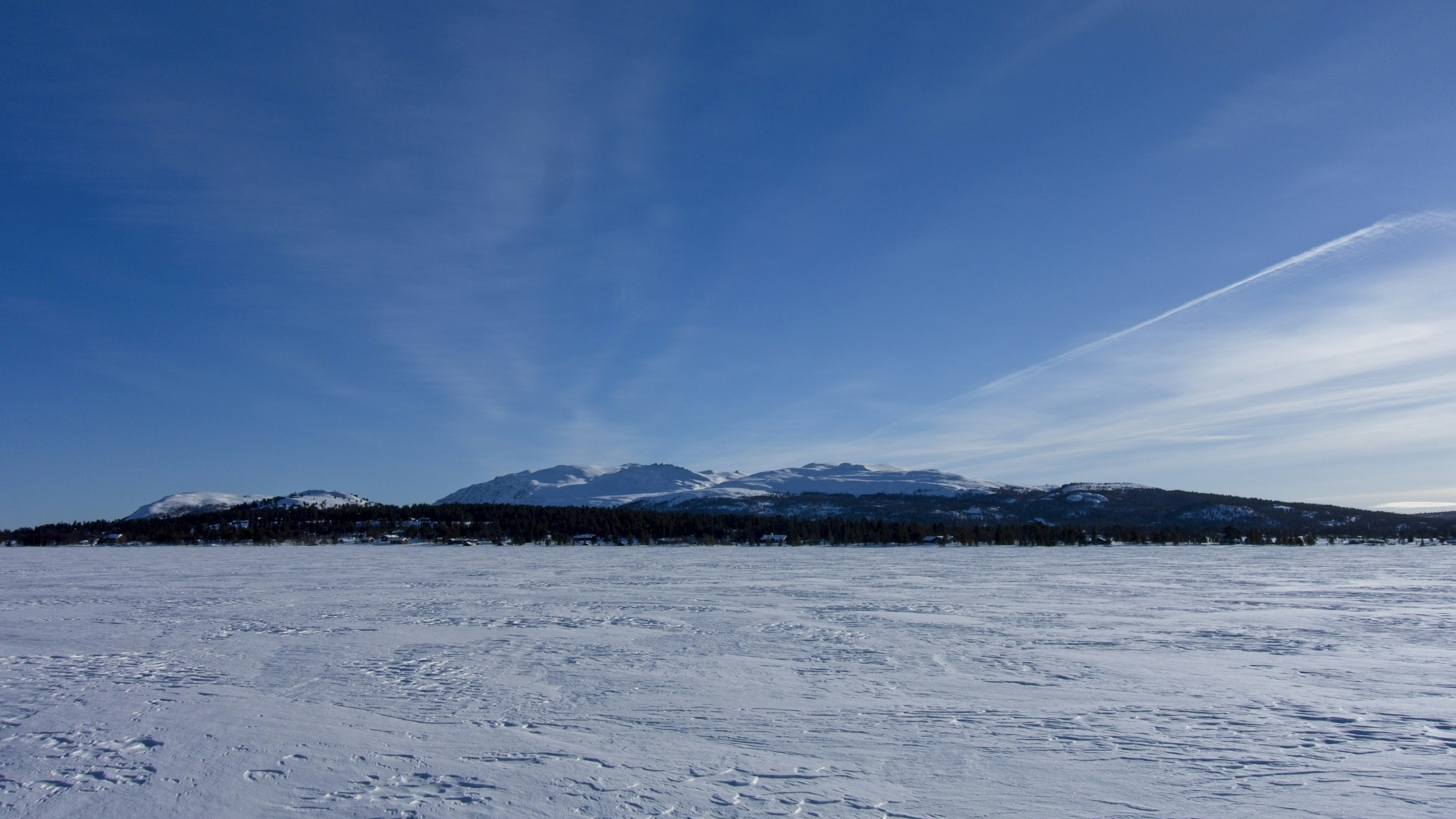 Photo by gunnarridder