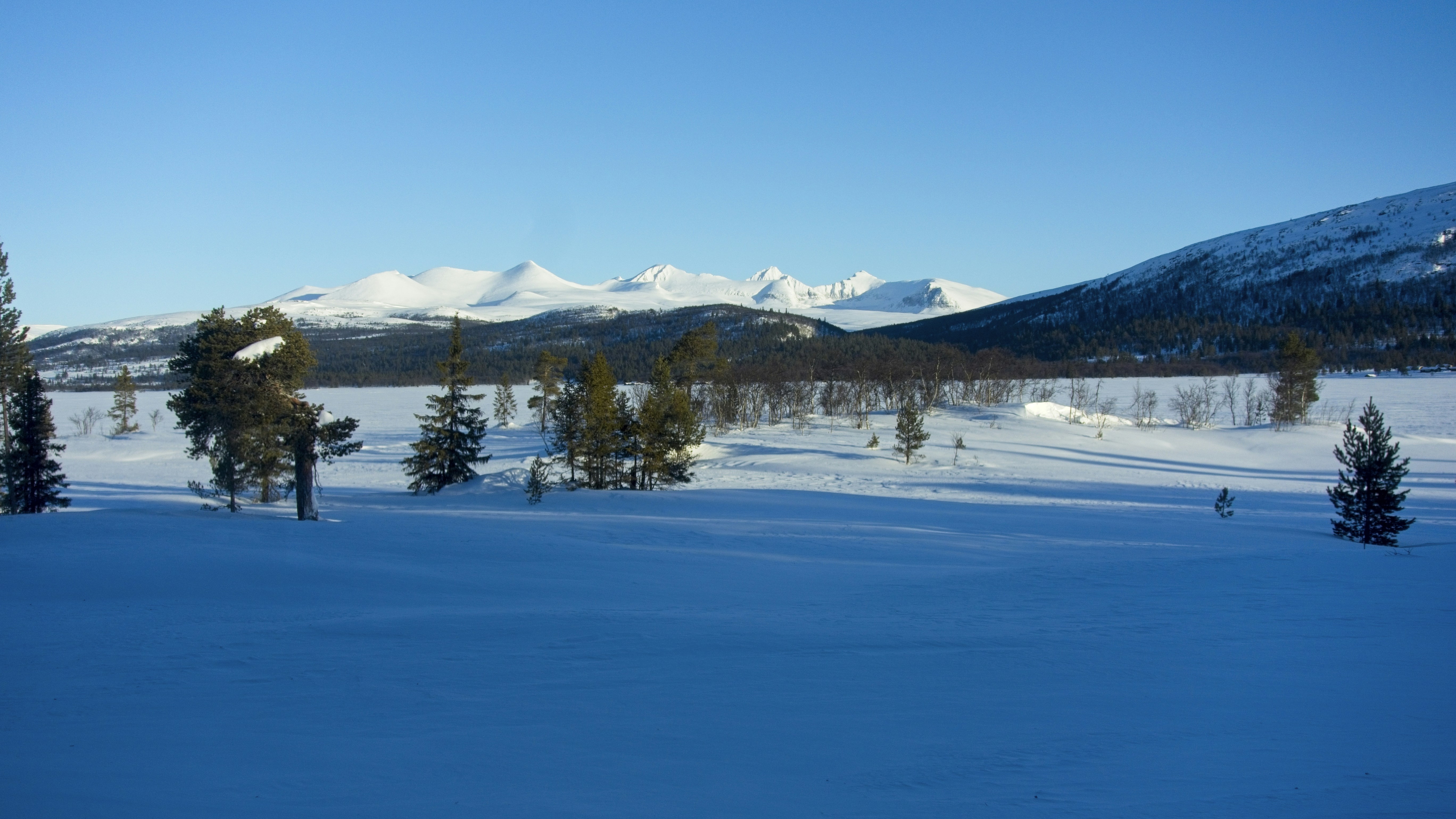 Photo by gunnarridder