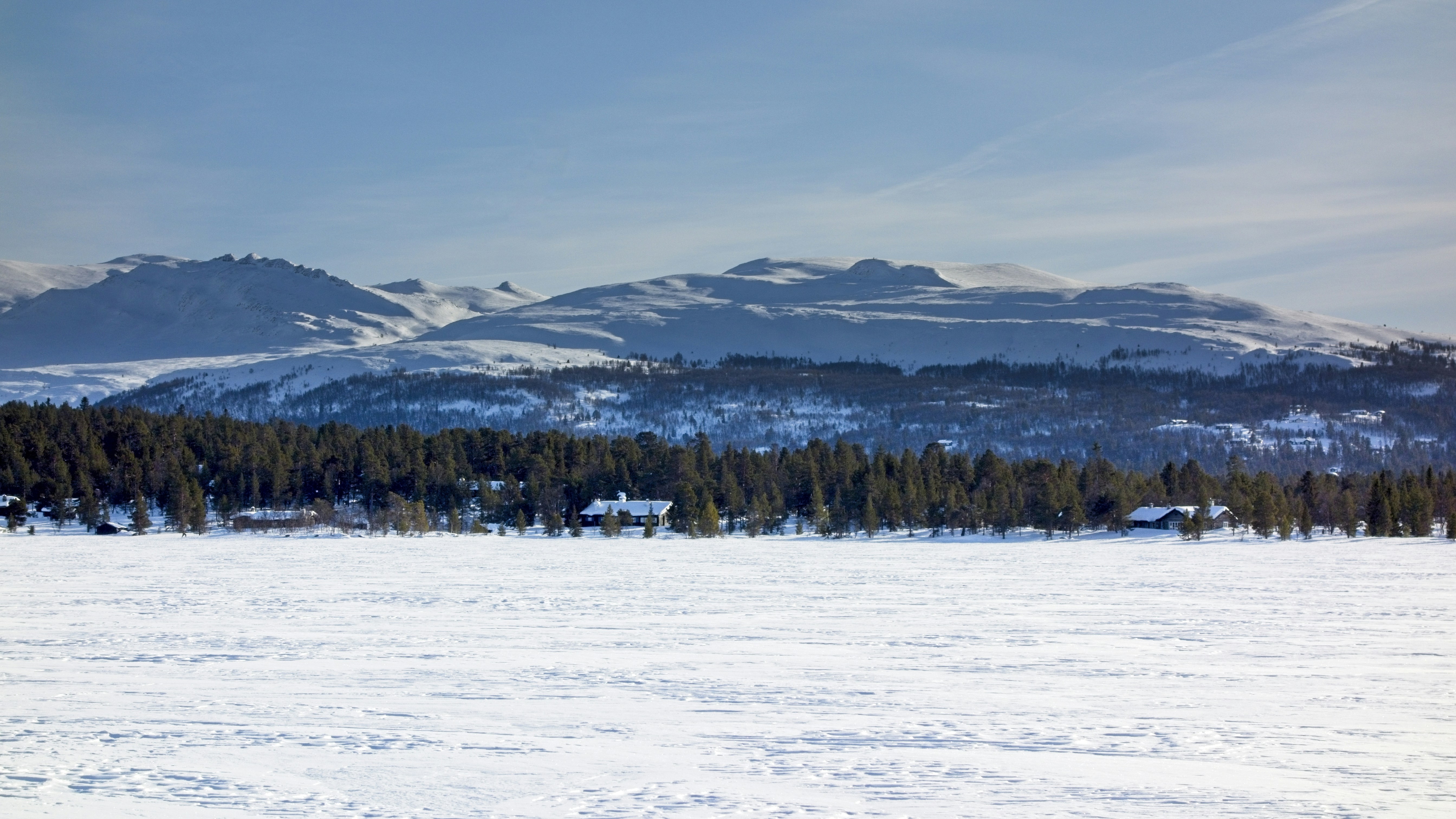 Photo by gunnarridder