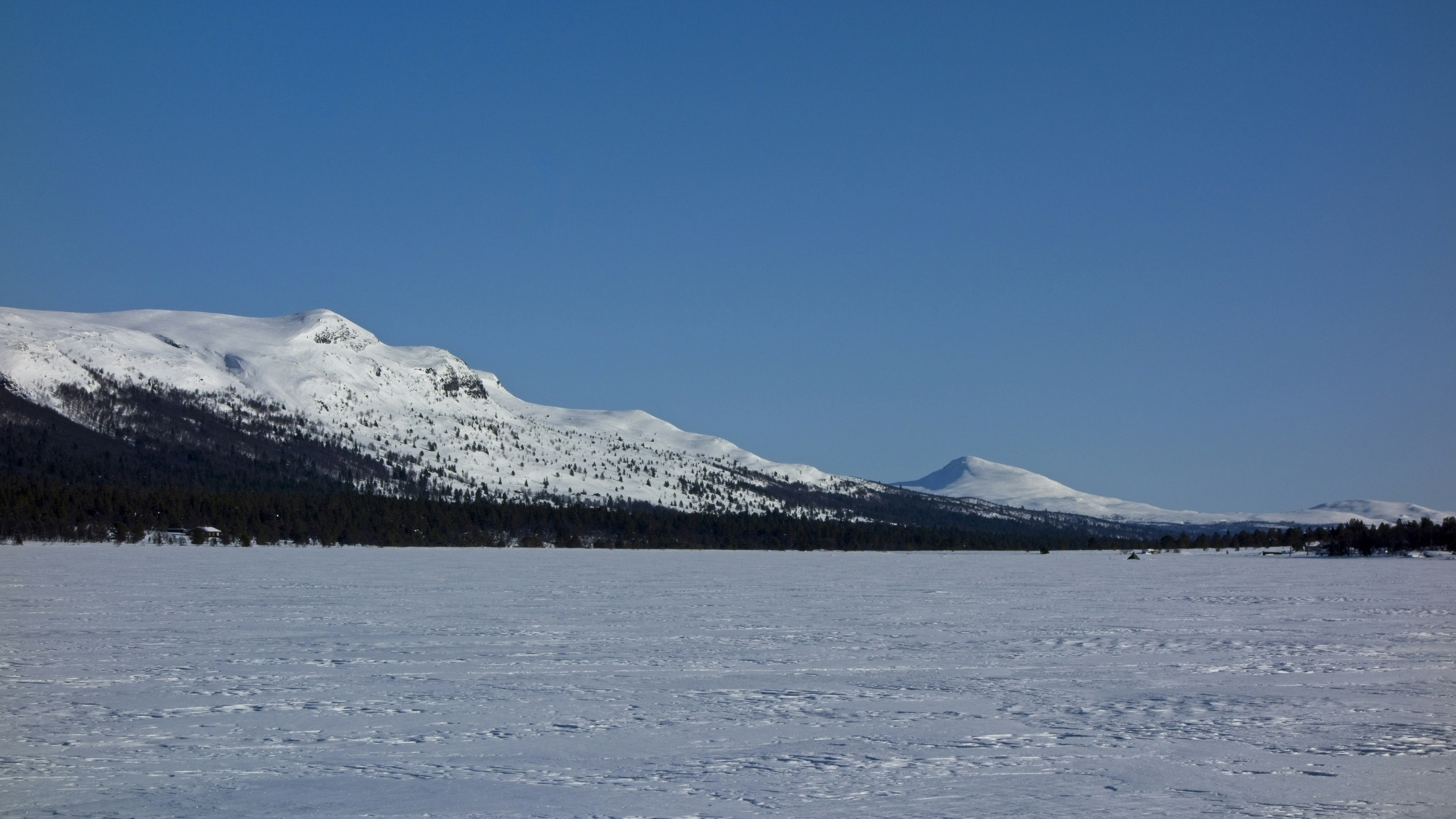 Photo by gunnarridder