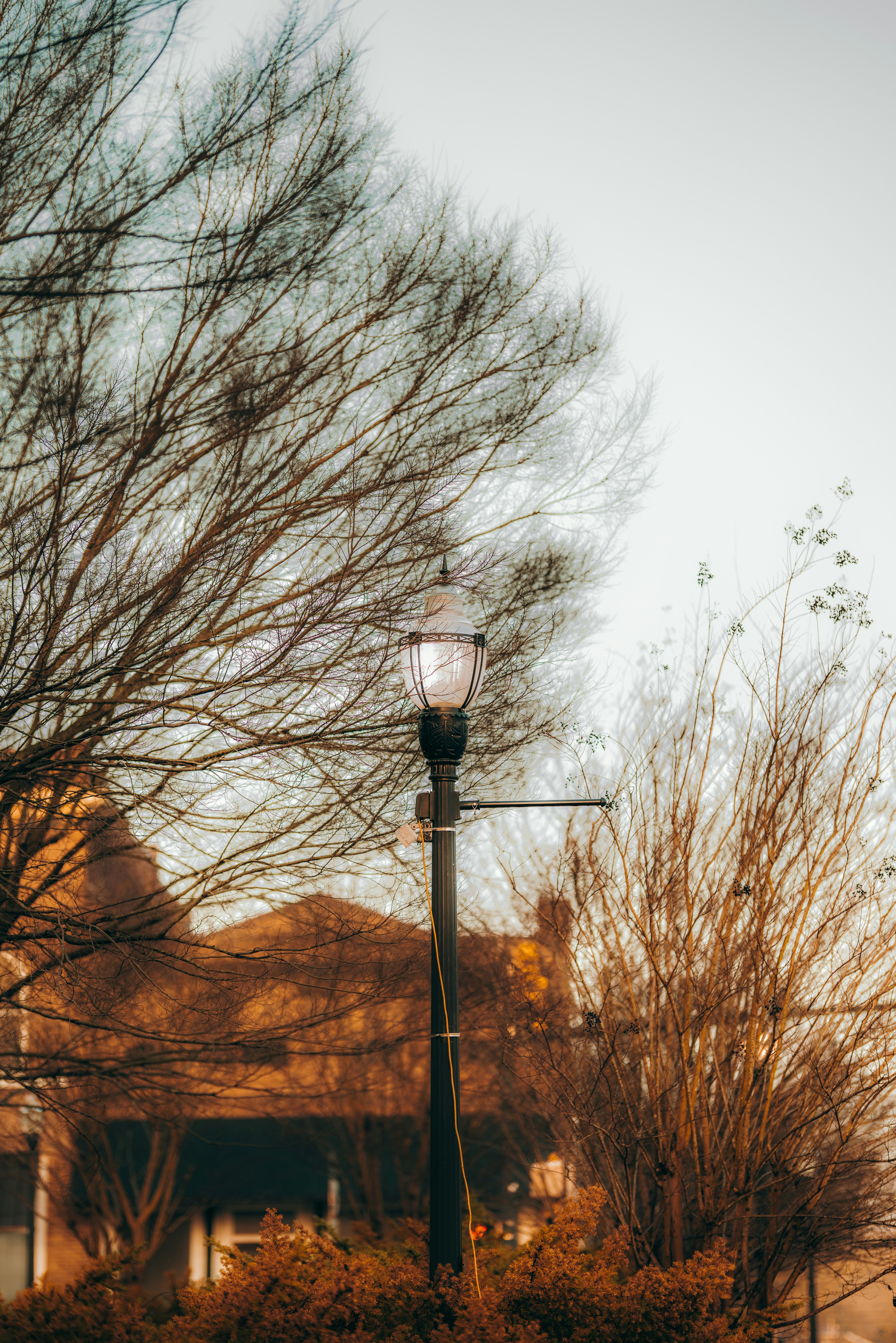 Photo by colemangloverphotography