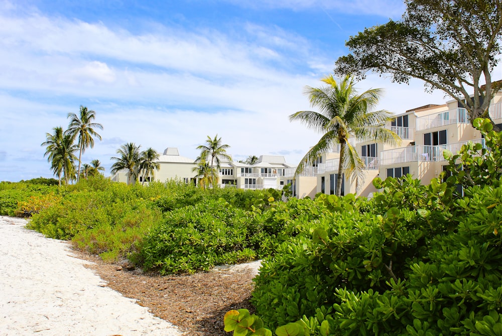 a sandy path leads to a row of beach houses