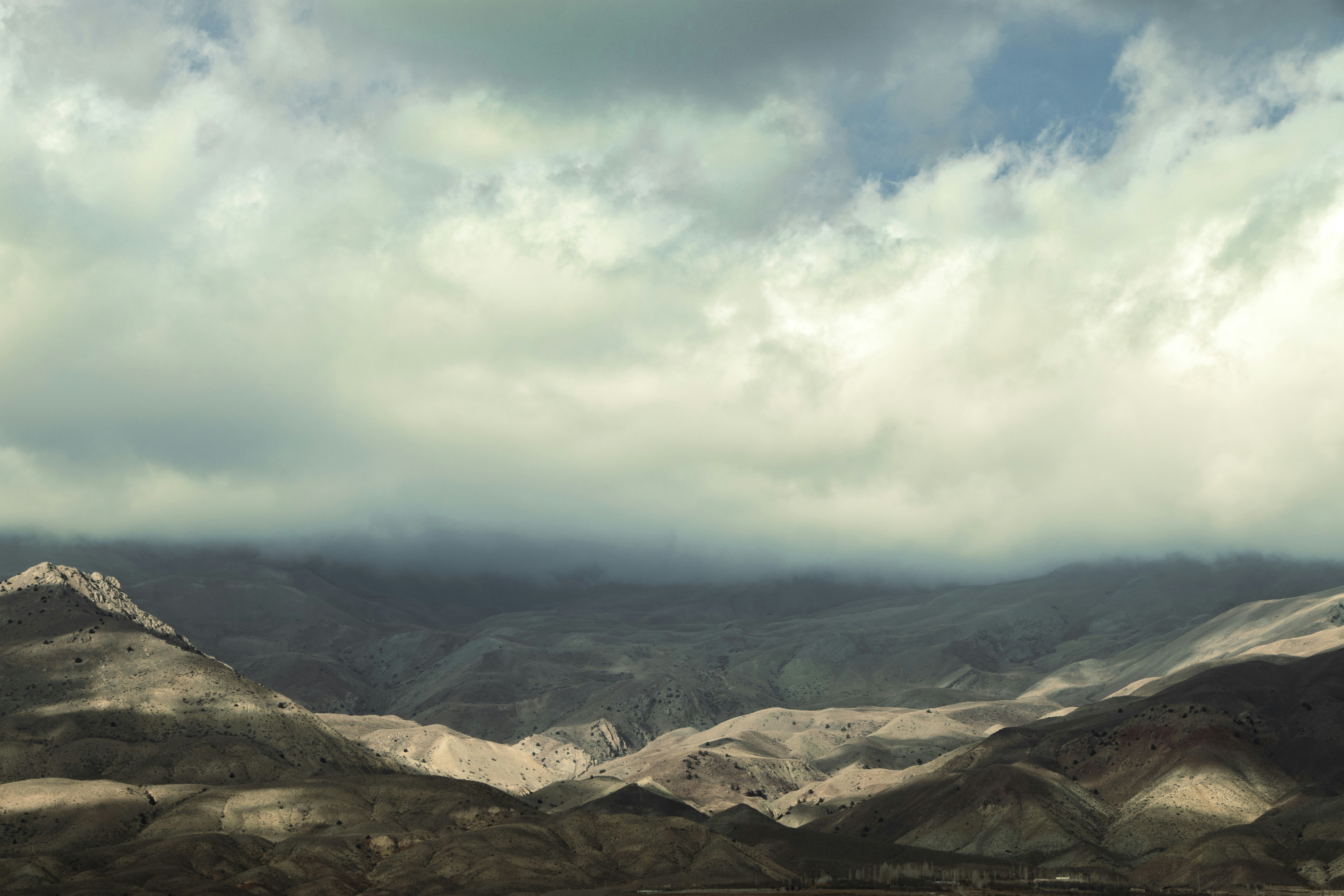 Photo by mahdibafande