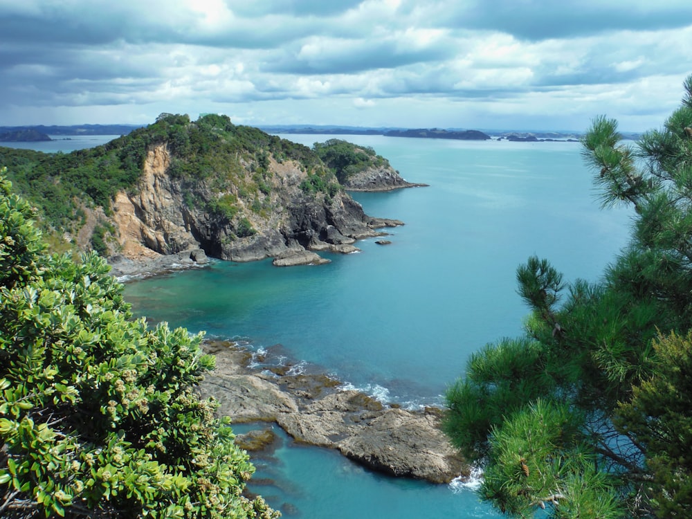 a large body of water surrounded by trees