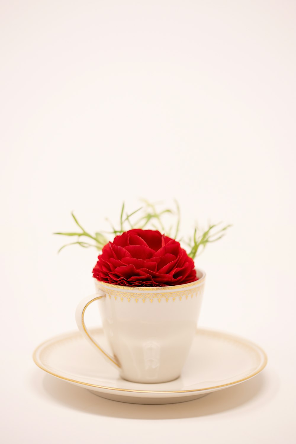 a white cup with a red rose in it