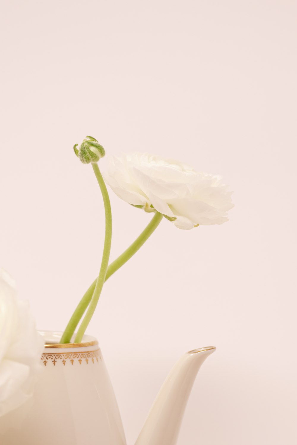 a white tea pot with a flower in it
