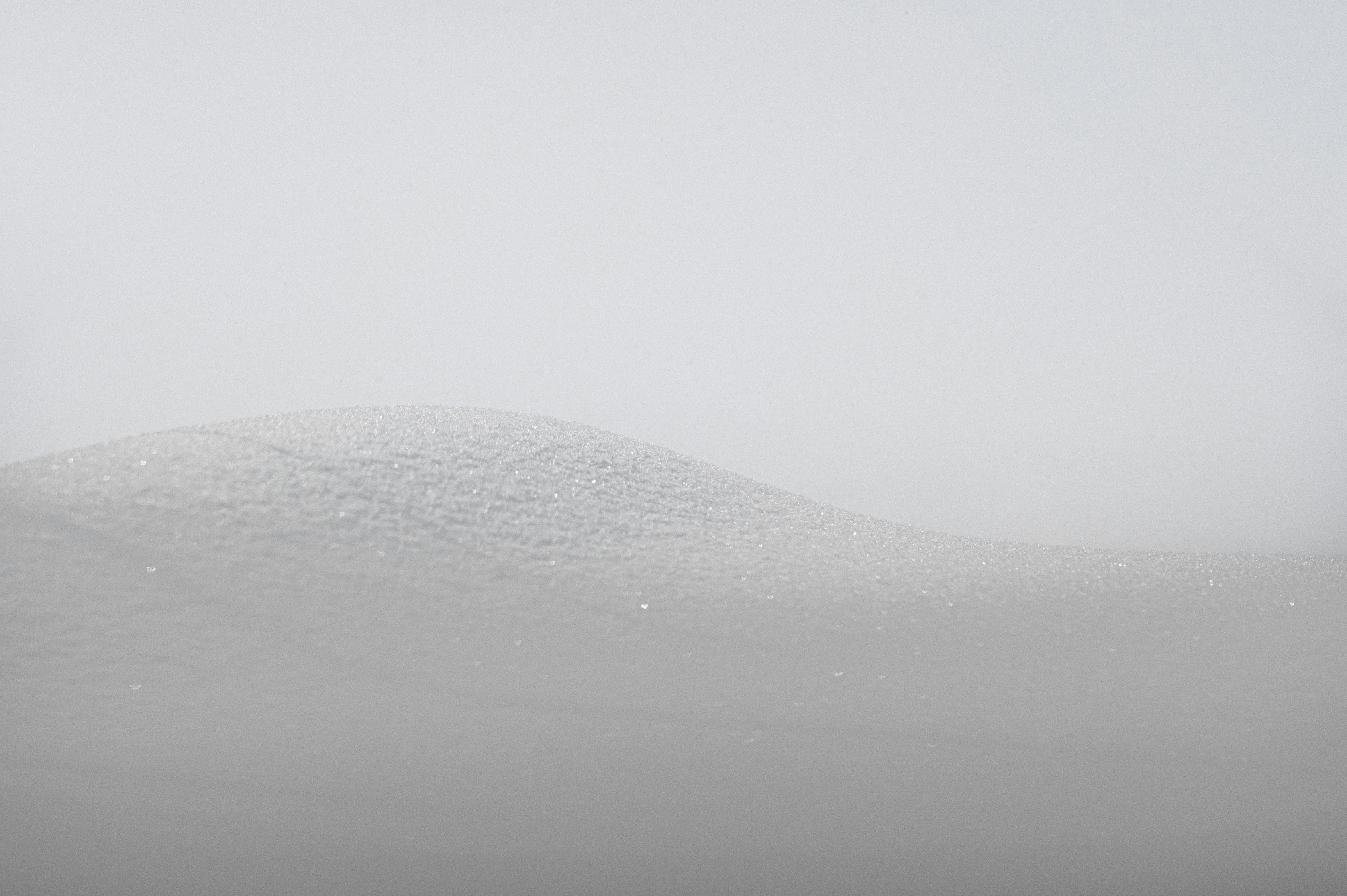 Photo by ryunosuke_kikuno