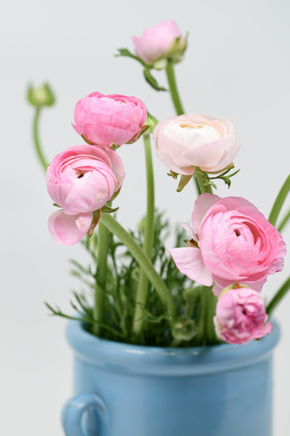 eine blaue Vase gefüllt mit rosa Blumen auf einem Tisch