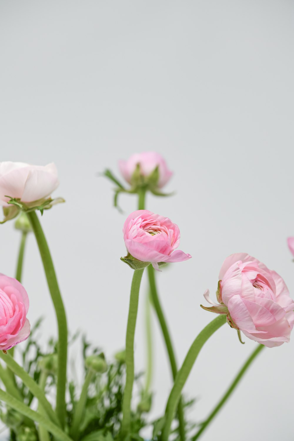 a vase filled with pink flowers on top of a table