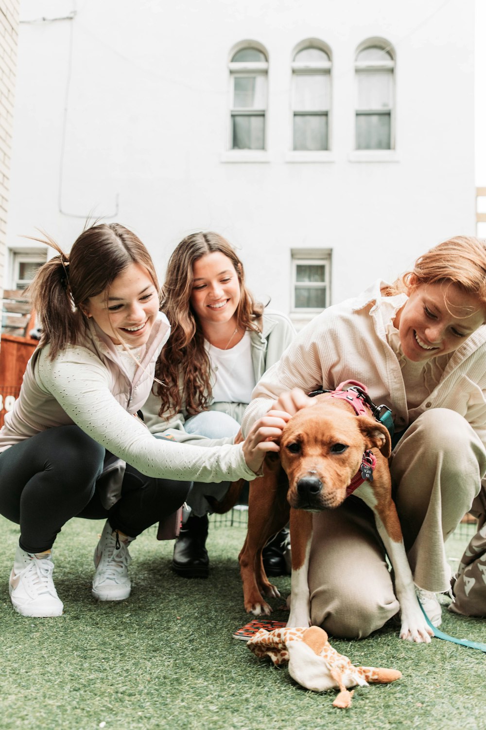 a group of women petting a dog on the grass
