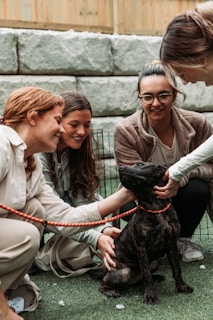 a group of women petting a dog on a leash