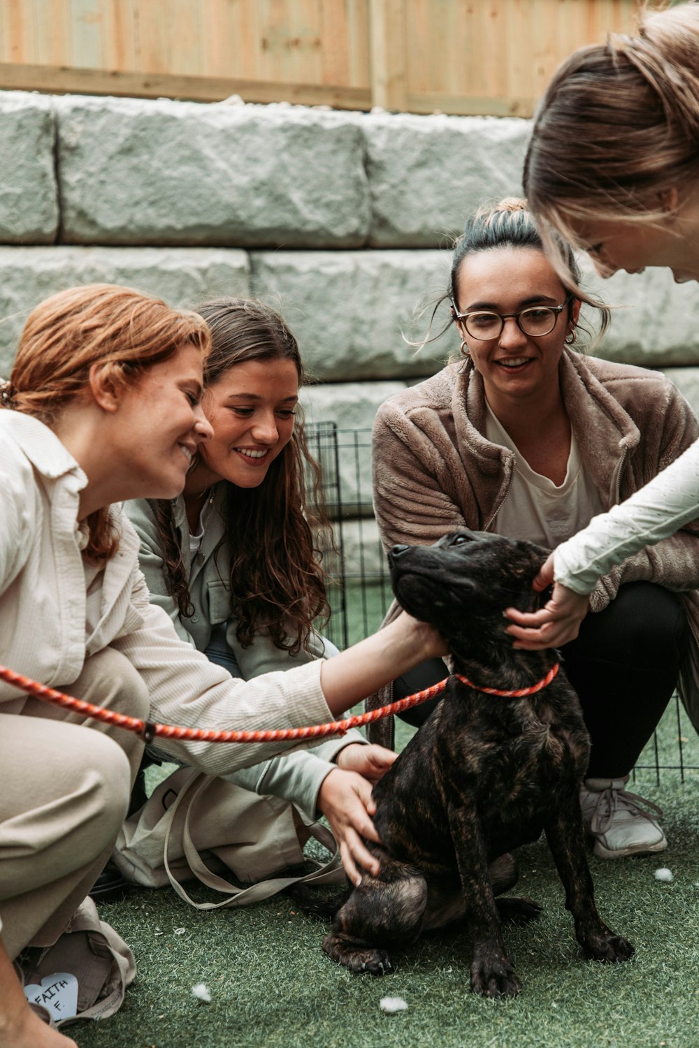 a group of women petting a dog on a leash