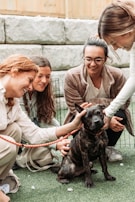 Four people are gathered around a dog that has a dark, brindle coat. The individuals appear to be happy and are petting the dog, which is sitting on a patch of grass. A leash is visible, held by one of the people. The background includes large stone bricks and a wire fence.