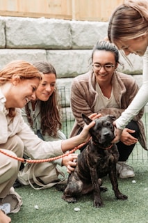 Four people are gathered around a dog that has a dark, brindle coat. The individuals appear to be happy and are petting the dog, which is sitting on a patch of grass. A leash is visible, held by one of the people. The background includes large stone bricks and a wire fence.