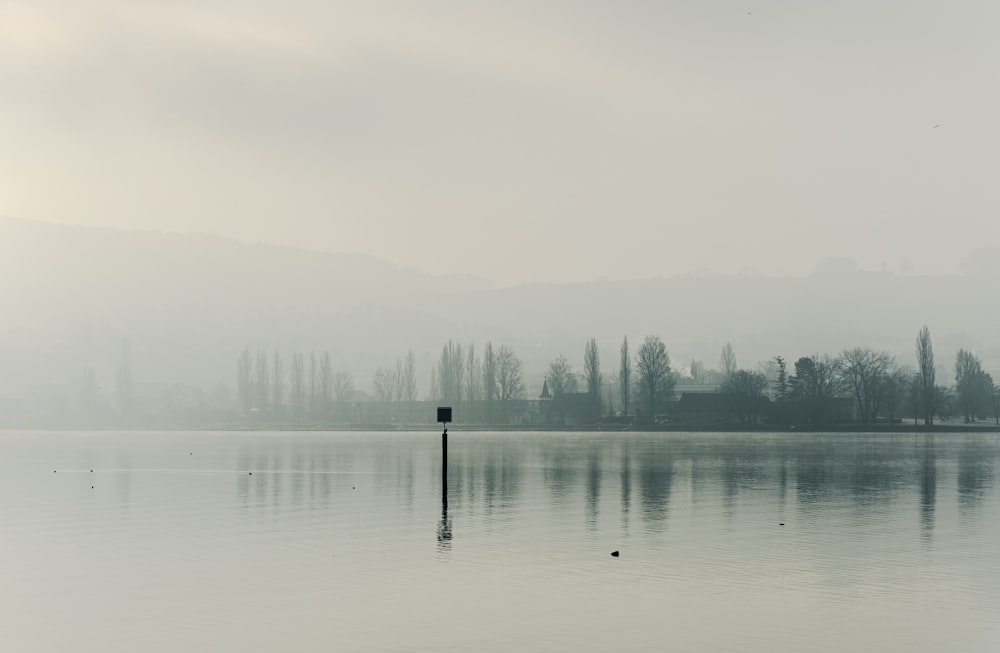 a body of water with a tree in the distance