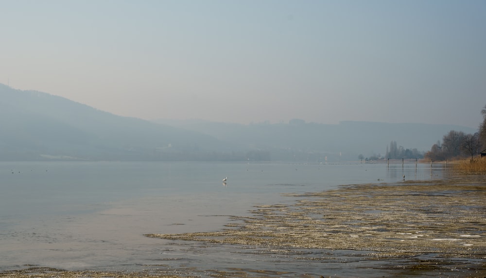 a body of water surrounded by mountains and trees