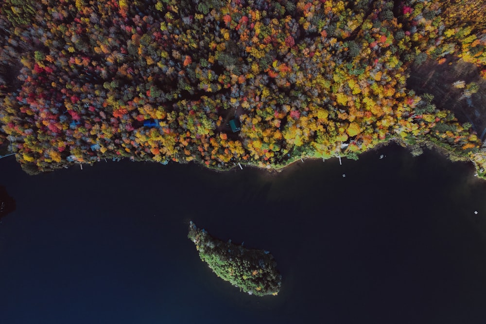 an aerial view of a lake surrounded by trees