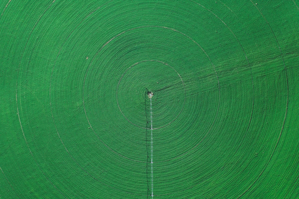 uma vista aérea de uma grande árvore verde