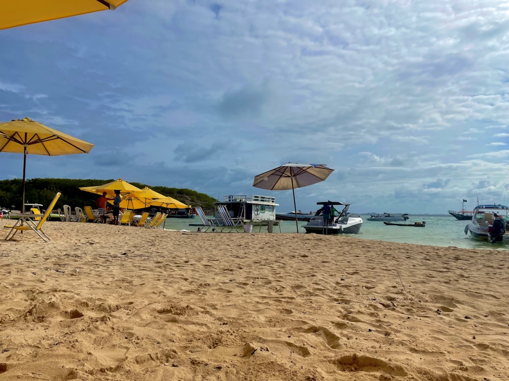 a sandy beach covered in lots of yellow umbrellas