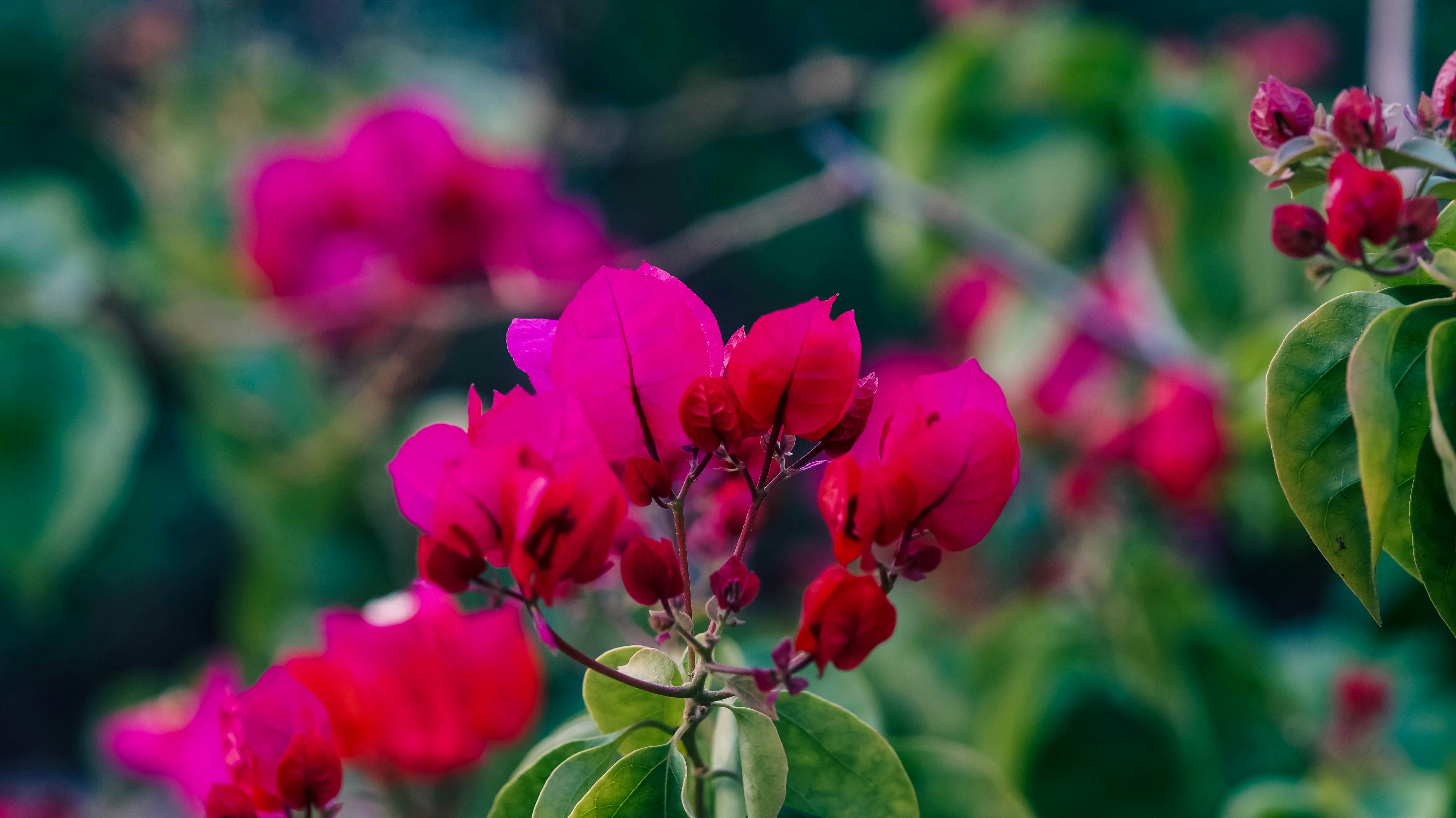 Photo by vietph34