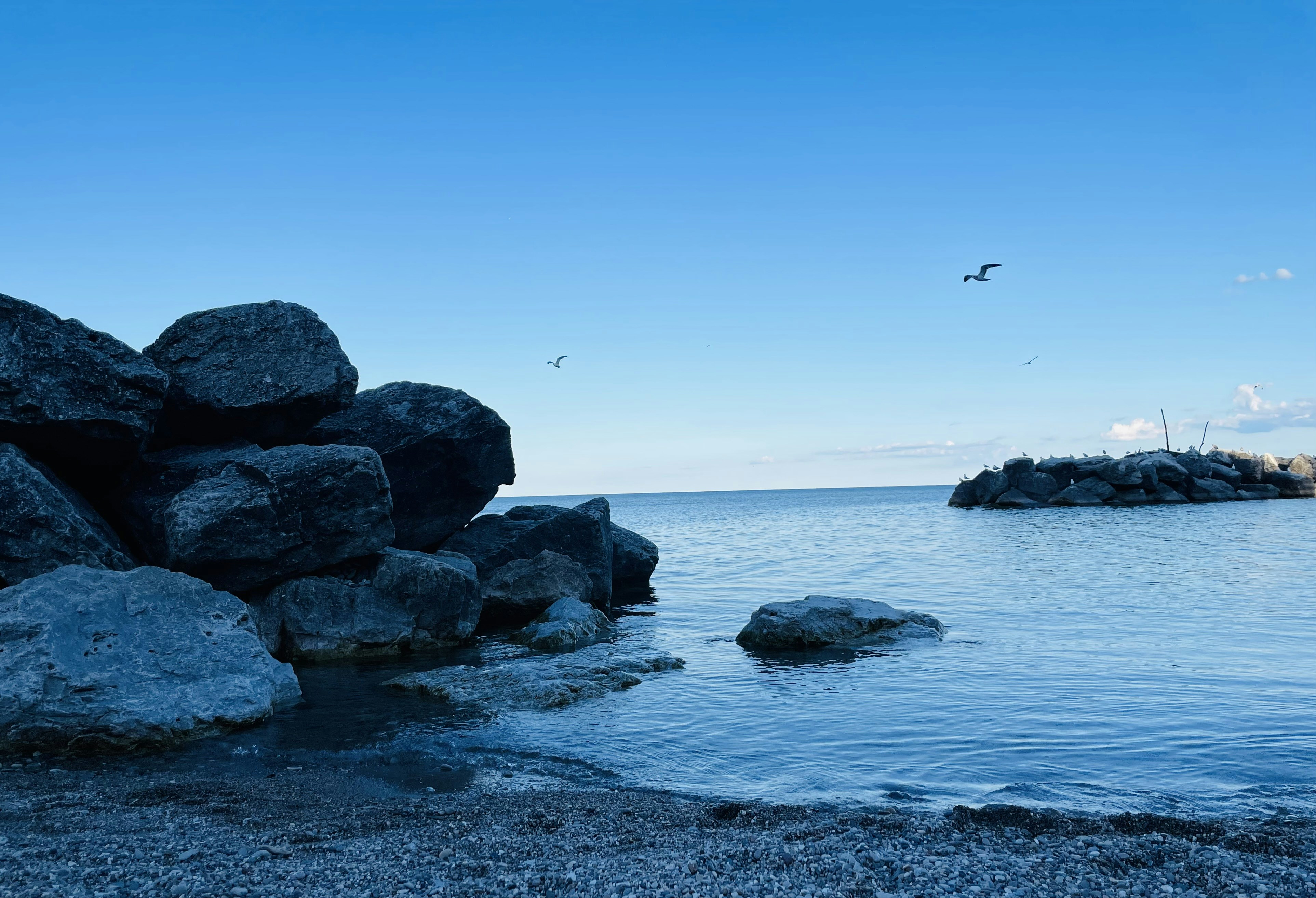 Photo by autumntomich