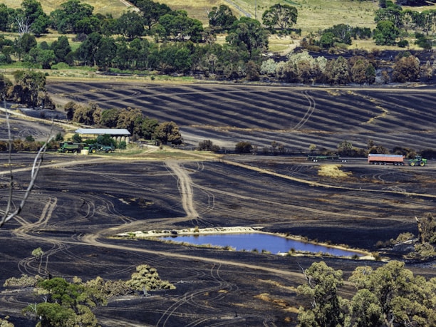 A vast landscape depicting charred fields with visible tractor tracks and a small pond in the foreground. The backdrop has dense green trees contrasting with the scorched land. A farm structure and agricultural machinery, including tractors and a trailer, are situated near the center of the image.