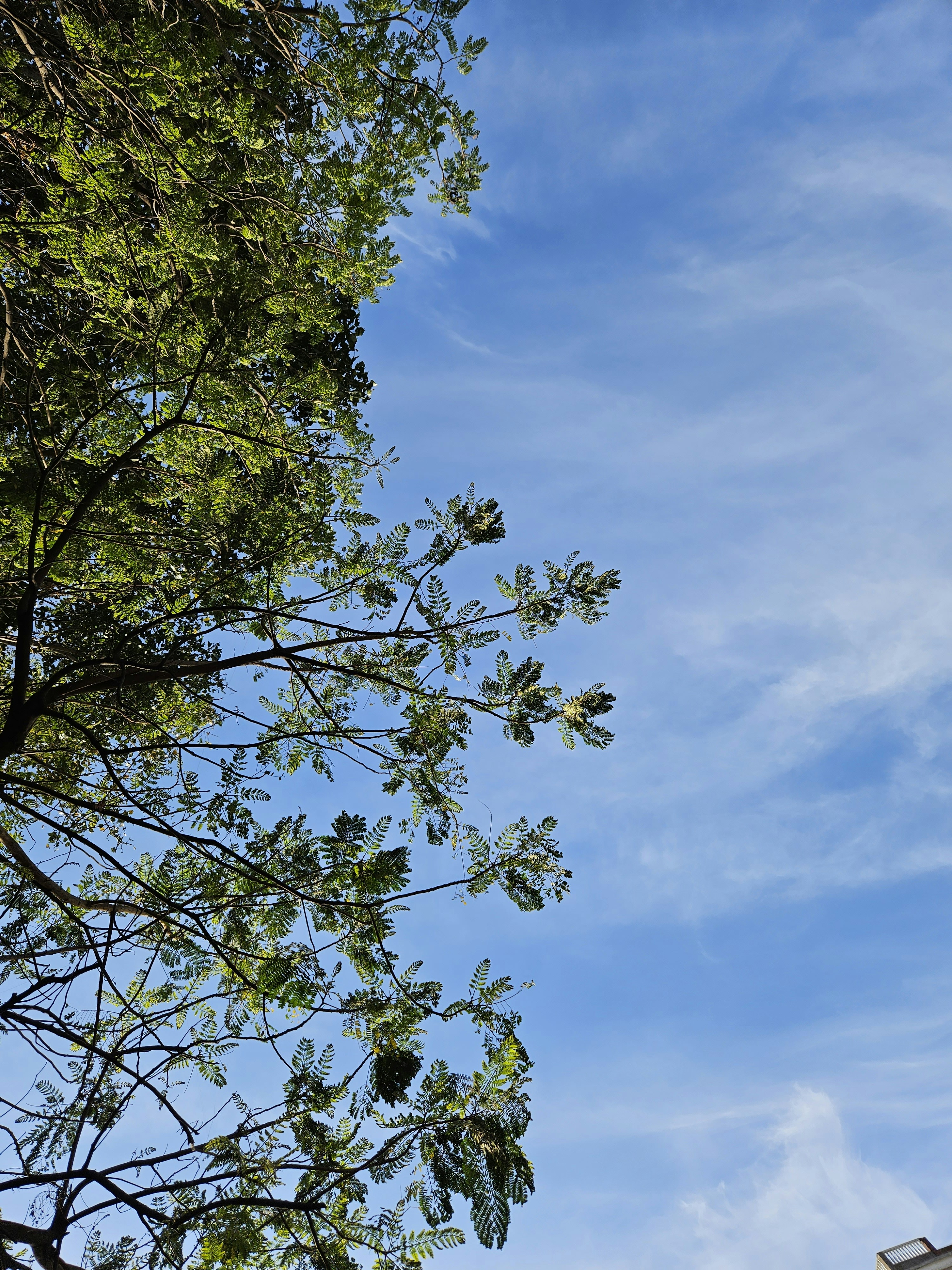 Photo by shridutt_02