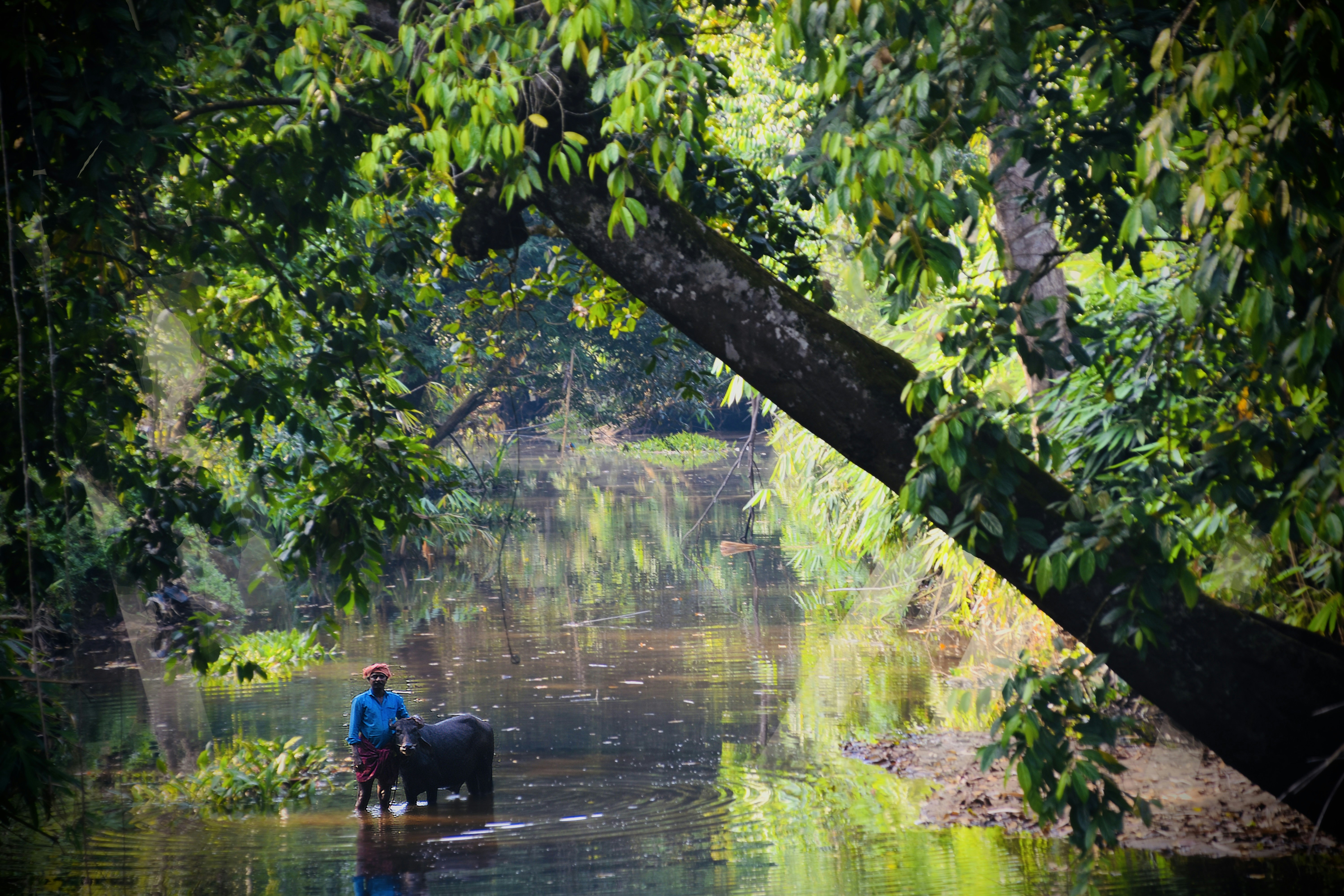 Photo by razakindian