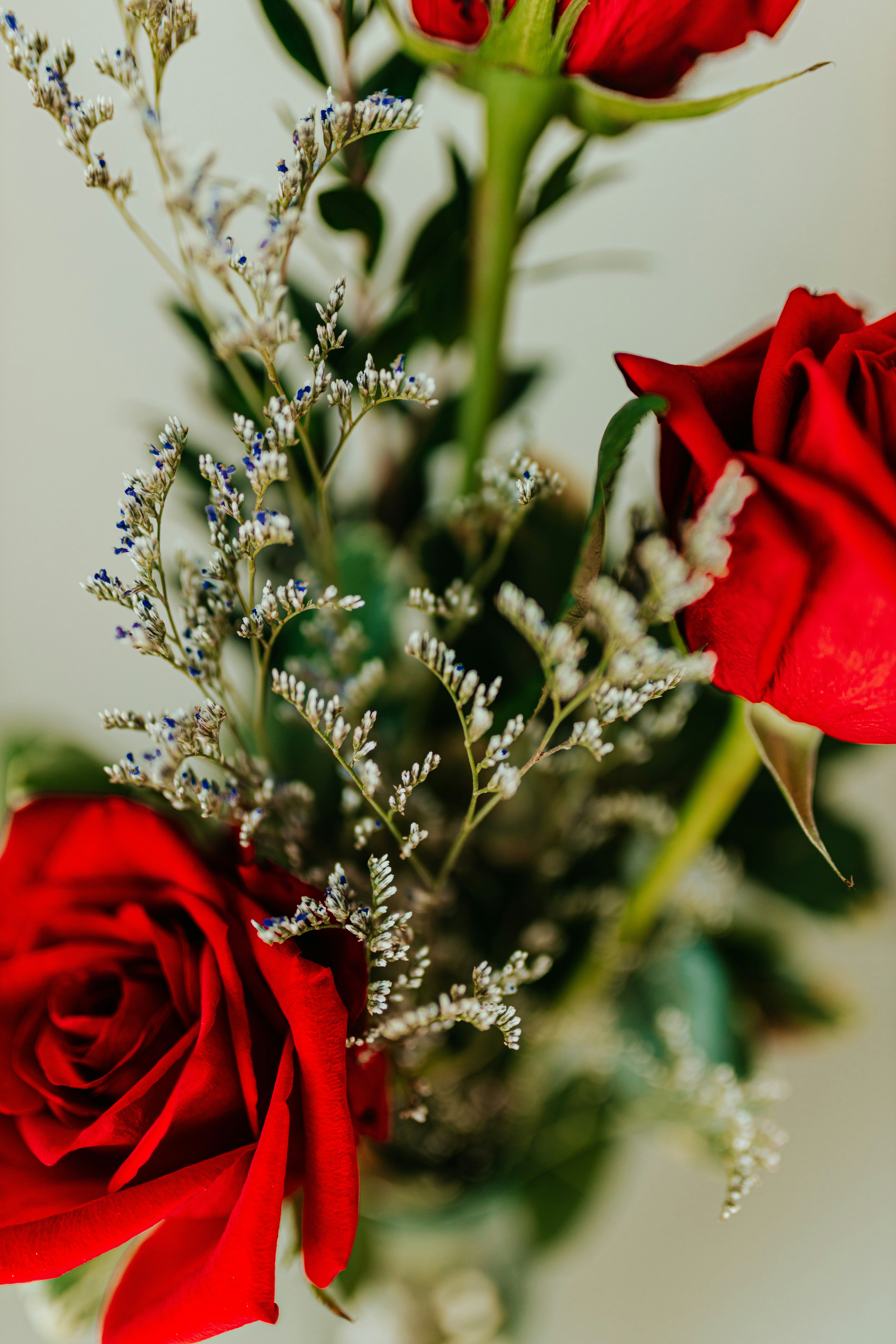 a vase filled with red roses and baby's breath