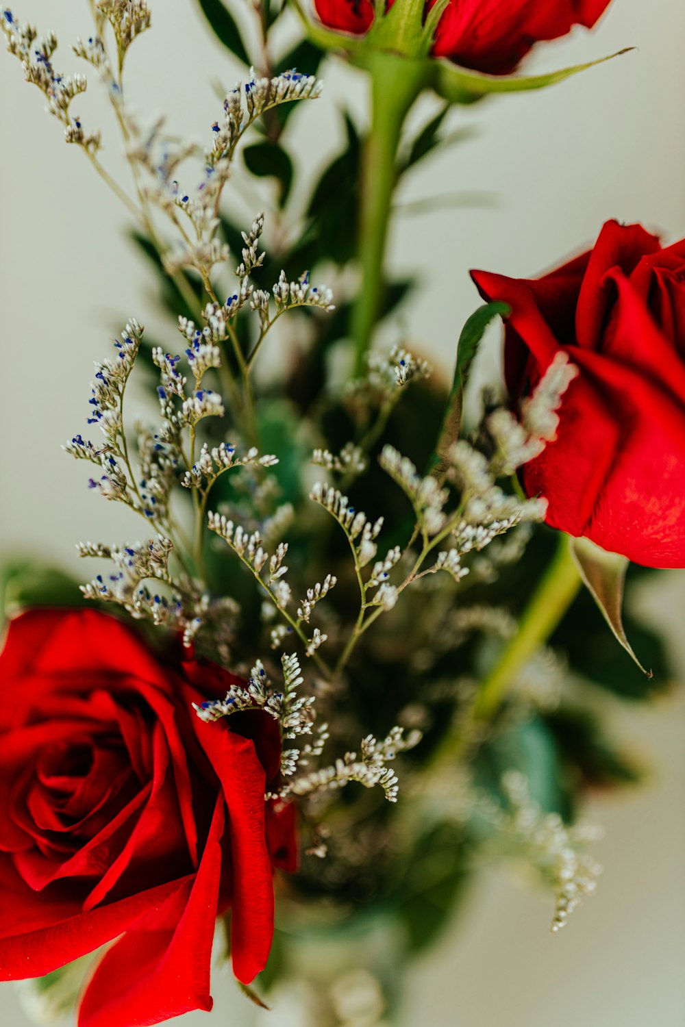 a vase filled with red roses and baby's breath