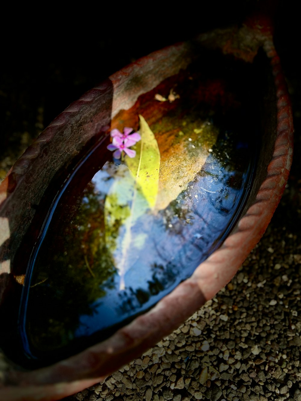 a wooden bowl with a reflection of a tree in it