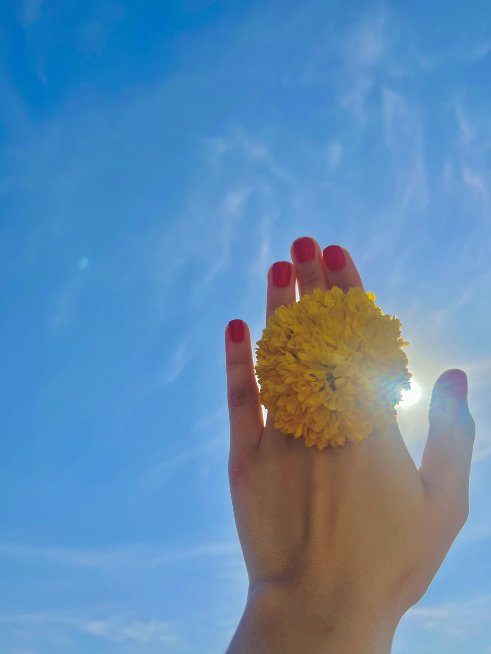 a woman's hand holding a yellow flower against a blue sky