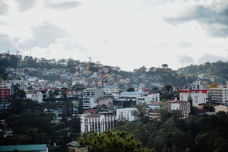 a view of a city from a hill