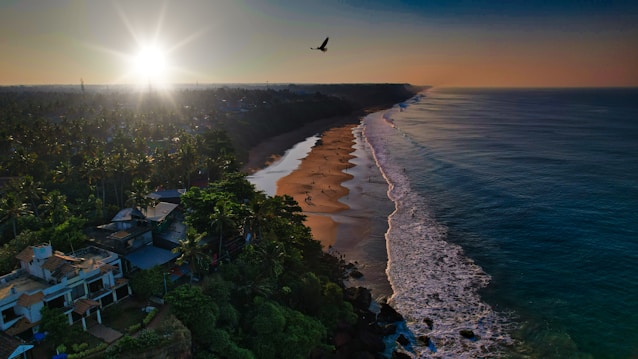 A stunning coastal landscape during sunrise, featuring a long sandy beach with gentle waves lapping the shore. The surrounding area is lush with dense palm trees and vegetation, and there are a few buildings visible near the shoreline. A bird is flying across the sky, silhouetted against the warm glow of the sun on the horizon.