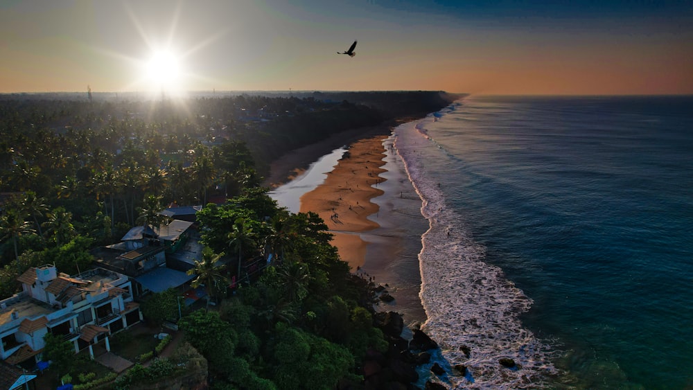 a bird flying over a beach next to the ocean