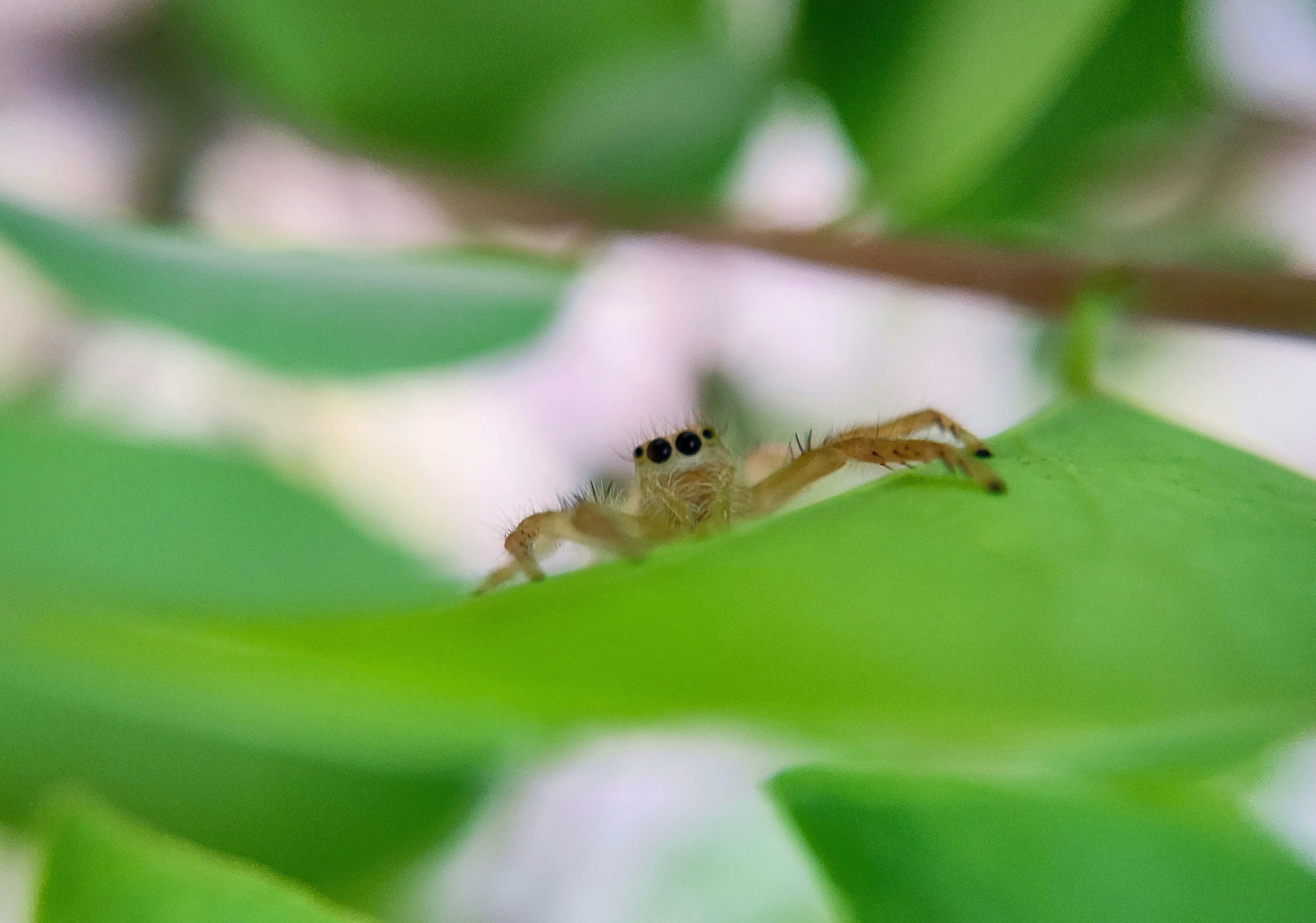 Photo by macrosam