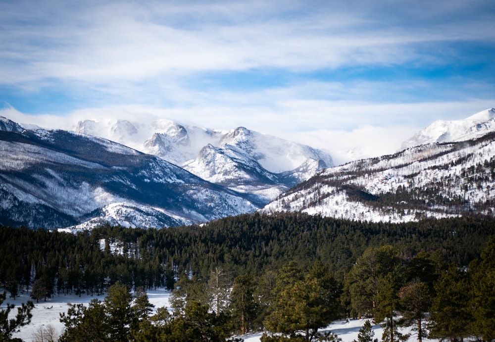 a view of a snowy mountain range with pine trees in the foreground