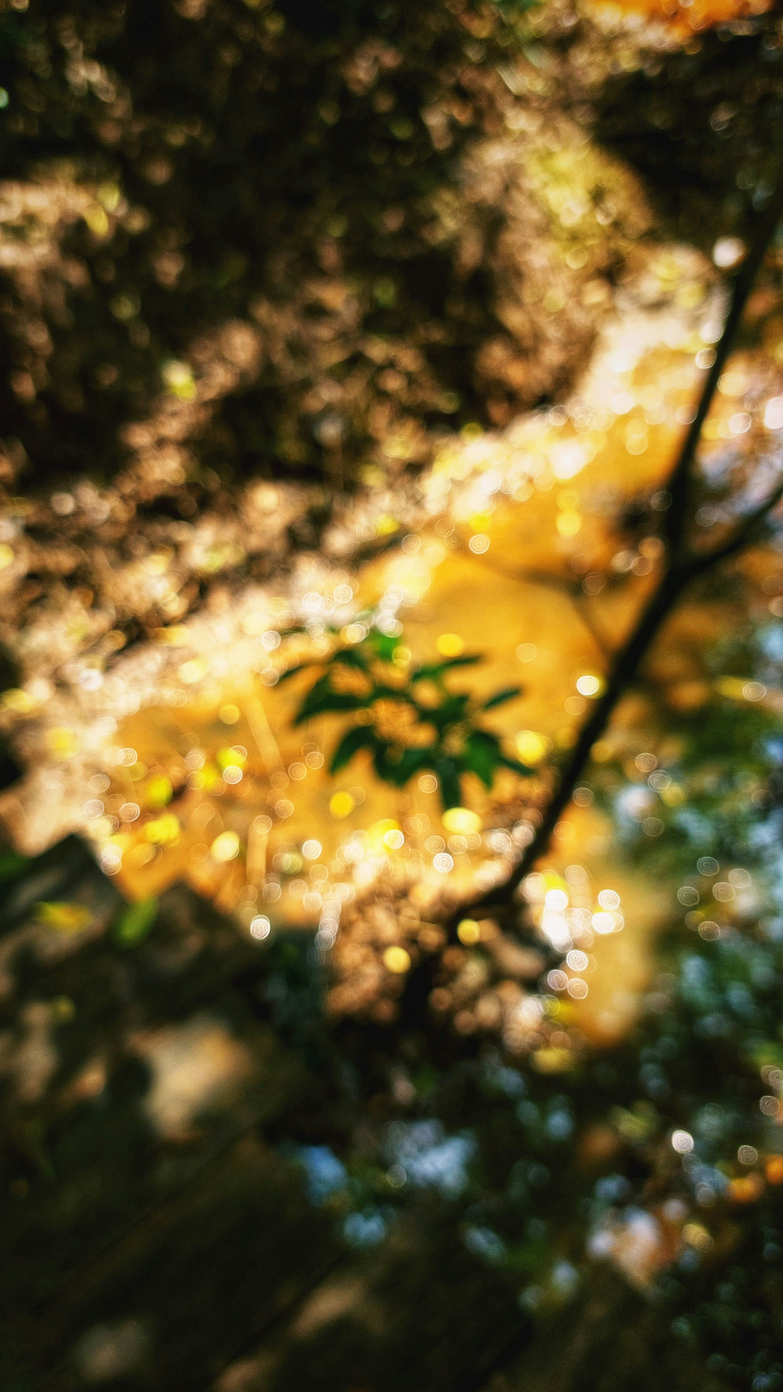 Photo by joylynn_goh